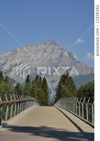 To the mountain of Banff To the mountain of Banff 11836362