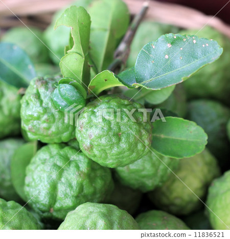 Kaffir lime or leech lime 11836521