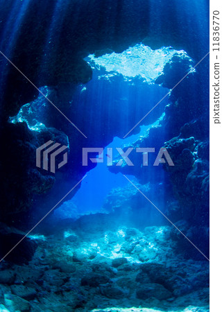 Curtain of light from underwater Curtain of light from underwater 11836770