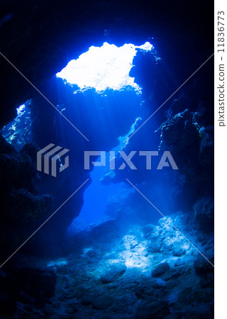 從水下的光幕 11836773