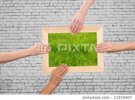 Frame with grass 11838407