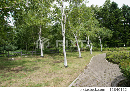 In Shirakaba Tree Road highway wheelchair parking area In Shirakaba Tree Road highway wheelchair parking area 11840112