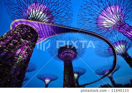 Singapore's super tree 11840133