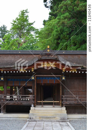 Taga Taisha 11840436