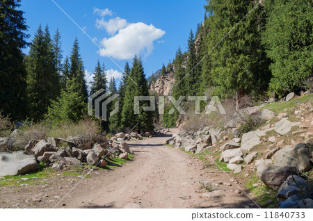 Grigorevsky gorge 11840733