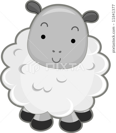 Sheep Front View Sheep Front View 11841377