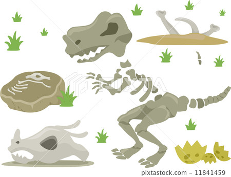 Dinosaur Bones 11841459