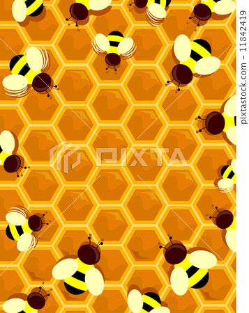Beehive Frame Beehive Frame 11842419