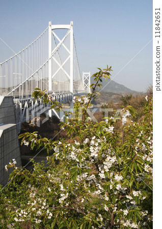 Shimanami Kaido春天風景 Shimanami Kaido春天風景 11842651