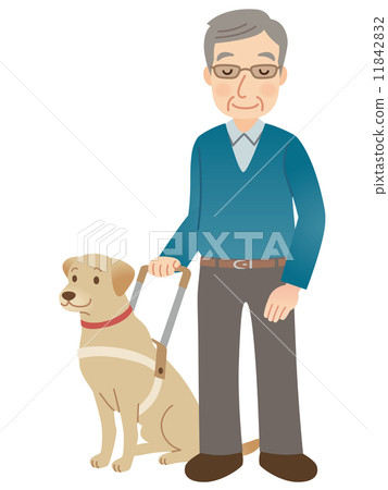 Guide dog visually impaired 11842832