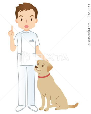 Dog and veterinarian 11842833