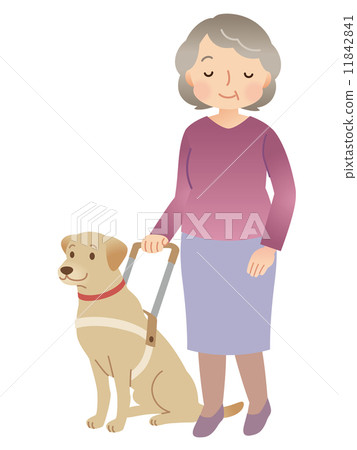 Guide dog visually impaired Guide dog visually impaired 11842841