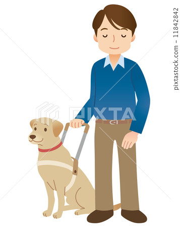 Guide dog visually impaired 11842842