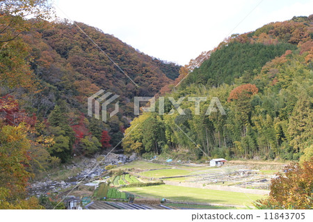 Settsu Gorges Park 11843705