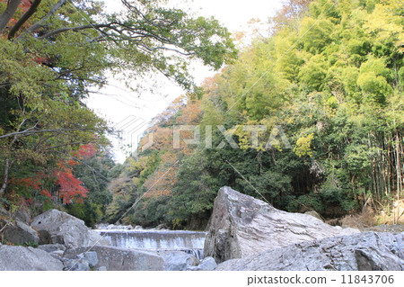 Settsu Gorges Park 11843706