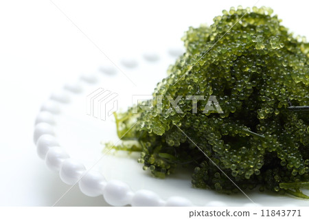    Sea grapes 11843771