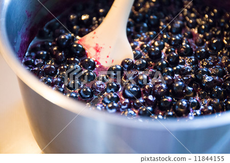 在花園裡摘藍莓果醬 在花園裡摘藍莓果醬 11844155