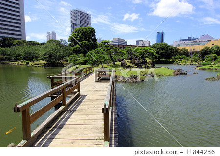 芝芝前花園 11844236