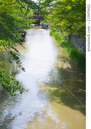 初夏的Yawata護城河 11845602