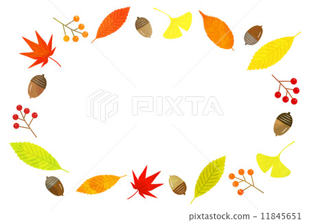 木葉的框架 11845651