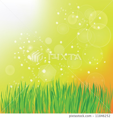 spring grass spring grass 11846252