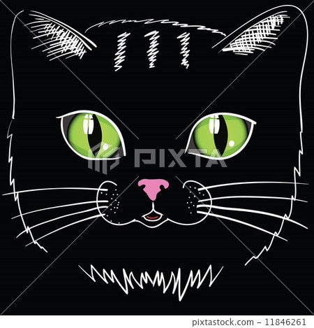 black cat head 11846261