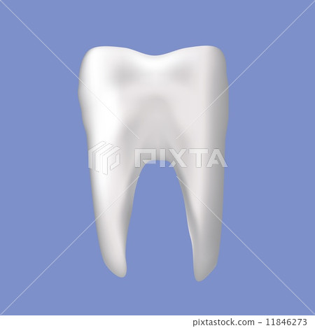 tooth tooth 11846273