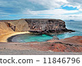 Papagayo beach 11846796