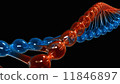 DNA strand close-up 11846897
