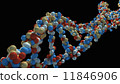 DNA strand close-up 11846906
