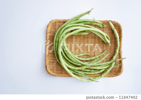 Juroku cowpea 11847402