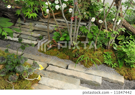 安全園藝 11847442