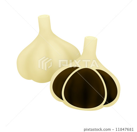 黑蒜 黑蒜 11847681