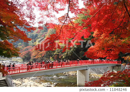 Fragrant Karami River in autumn 11848246