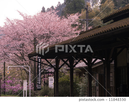 Kawagawa Railway Station 11848330