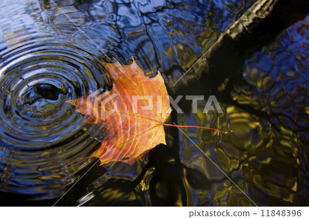 falling to the water 11848396