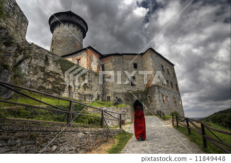 castle of the holy order 11849448