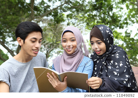 觀看筆記的三個亞洲人在公園 11849892