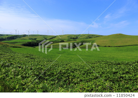 Soya Hills和Soya Cape風電場 11850424