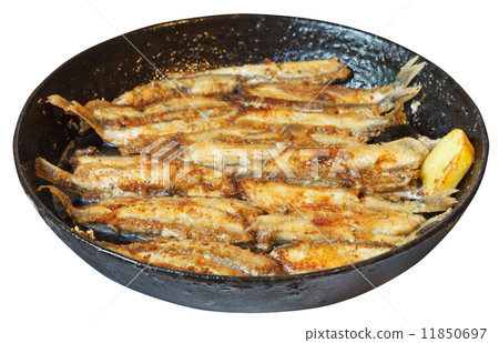 fried fish capelin on frypan isolated on white 11850697