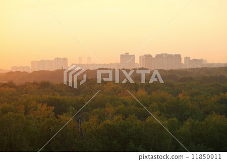 yellow early sunrise over urban houses and park yellow early sunrise over urban houses and park 11850911