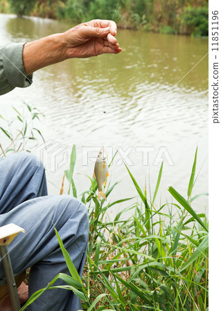 fisherman fished out small redeye fish fisherman fished out small redeye fish 11851196