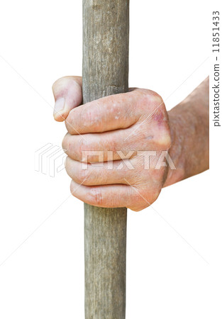 peasant hand holds old wooden stalk 11851433