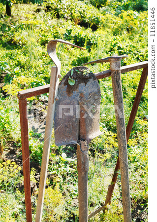old agricultural tools in garden 11851446