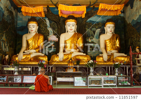 buddhist monk buddhist monk 11851597