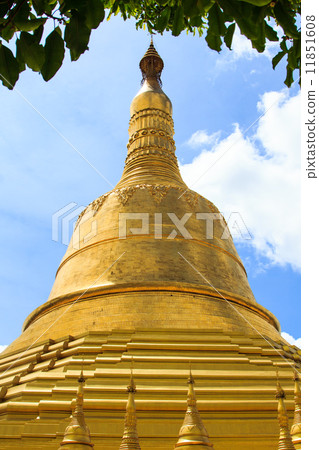 shwedagon 11851608