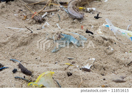 Garbage on the beach. 11851615
