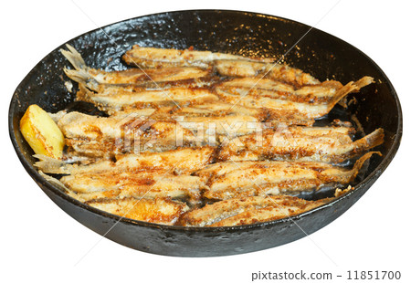 fried fish capelin on black frying pan isolated fried fish capelin on black frying pan isolated 11851700