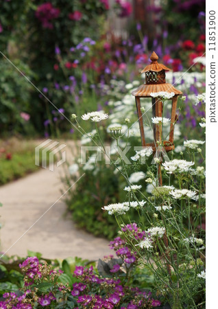  English garden 11851900
