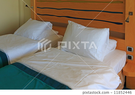 Resort hotel twin room 11852446